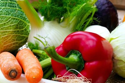 alimentatie pentru buna functionare a creierului 69231b369091b