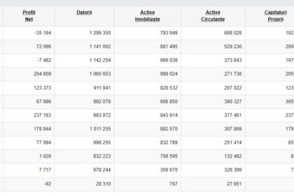 anaf constanta organizeaza a doua licitatie pentru bunurile imobile ale firmei debitoare eco plant catina srl 6923df1b8daca
