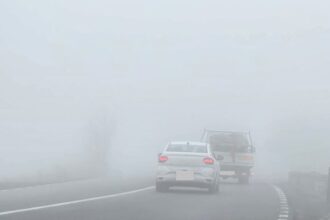 atentie soferi cod galben de ceata pentru judetul constanta vizibilitate redusa sub 50 de metri 6905a85410cf7