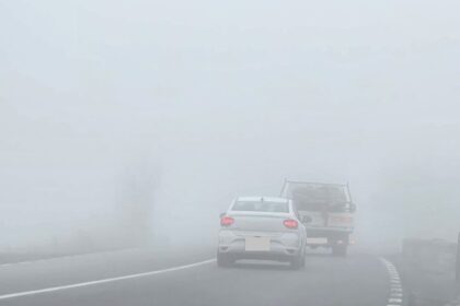 atentie soferi cod galben de ceata pentru judetul constanta vizibilitate redusa sub 50 de metri 6905a85410cf7