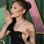 barbatul care a bruscat o pe ariana grande la premiera filmului wicked for good condamnat la inchisoare in singapore 691afdd2d1670