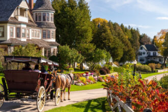 calul este rege insula din capitala mondiala a masinilor care a interzis automobilele inca de cand au fost inventate 6911ae1cc88c6