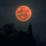 ce este super luna castorului cum se poate vedea pe cer in noaptea de 5 noiembrie inclusiv in romania 690a43db8400a