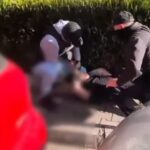 condamnare in dosarul barbatului prins in flagrant cand cumpara 22 kilograme de canabis pe bulevardul 1 decembrie 1918 691f9d64f2e9a