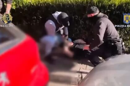 condamnare in dosarul barbatului prins in flagrant cand cumpara 22 kilograme de canabis pe bulevardul 1 decembrie 1918 691f9d64f2e9a