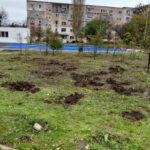 constanta ce se intampla in padurea urbana din inel 2 dupa scoaterea unor arbusti cum a ripostat asociatia act for tomorrow si ce a transmis municipalitatea 691e16a00c9a7