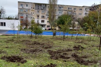 constanta ce se intampla in padurea urbana din inel 2 dupa scoaterea unor arbusti cum a ripostat asociatia act for tomorrow si ce a transmis municipalitatea 691e16a00c9a7