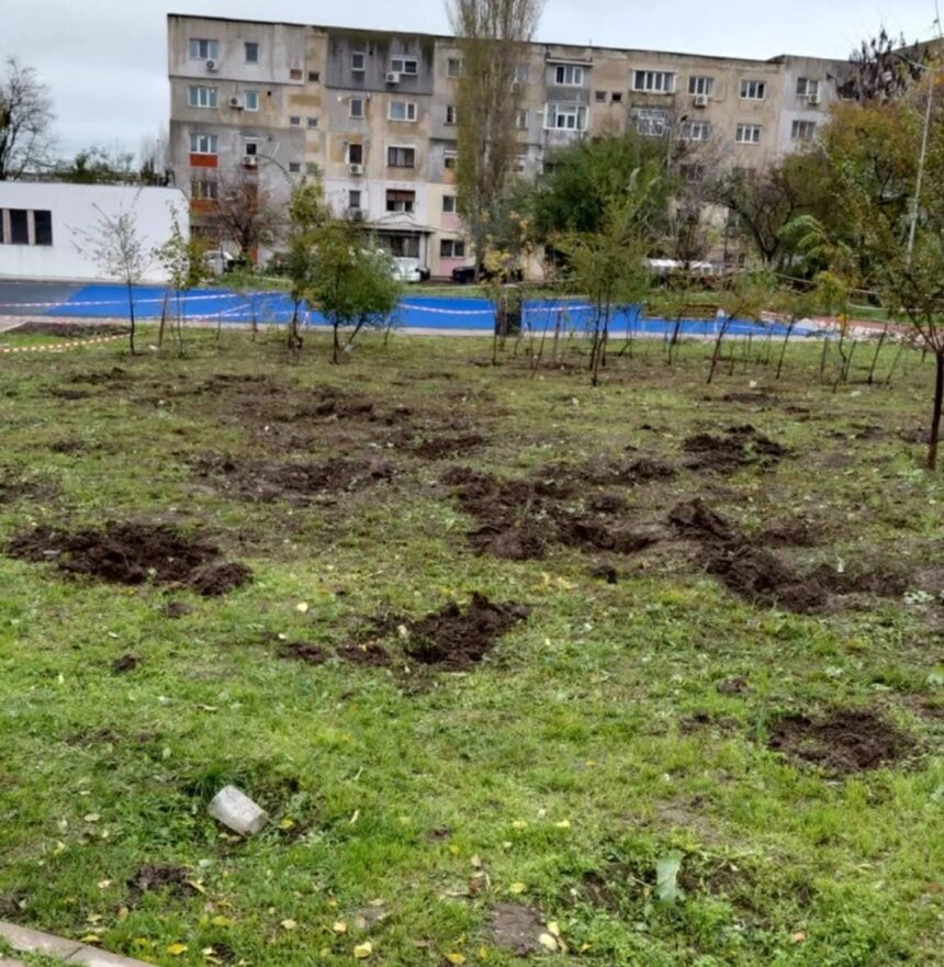constanta ce se intampla in padurea urbana din inel 2 dupa scoaterea unor arbusti cum a ripostat asociatia act for tomorrow si ce a transmis municipalitatea 691e16a00c9a7