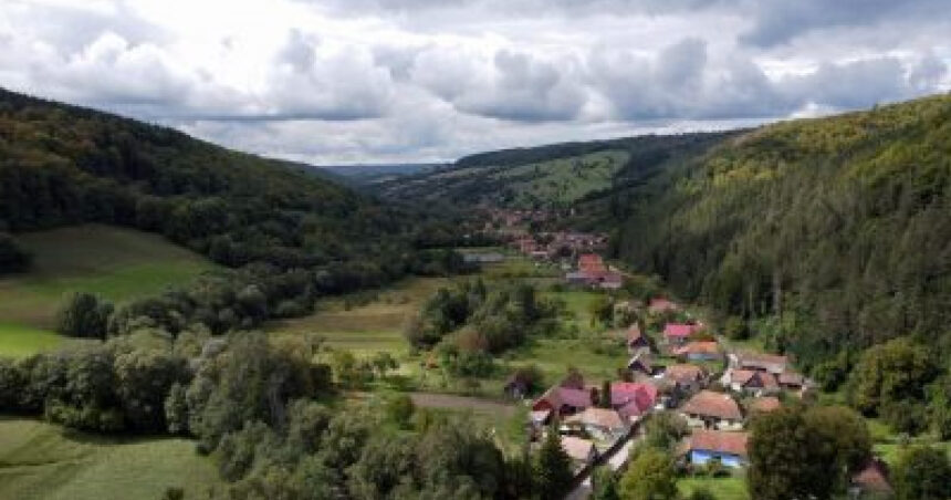 cum au ajuns primarii mici din tara sa aiba datorii de milioane la stat la rectificare ne dadeau bani s a marit pretul gunoiului 6912c77ab0222