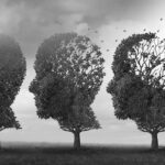 de ce persoanele cu alzheimer nu isi mai recunosc familia o noua descoperire a cercetatorilor ar putea preveni pierderea memoriei 6919e8208a44c