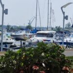 document doua terenuri trec din domeniul public in cel privat la mangalia firma tonomat star vizata in dosarul de coruptie al primarului suspendat radu cristian principalul beneficiar 6927904852747