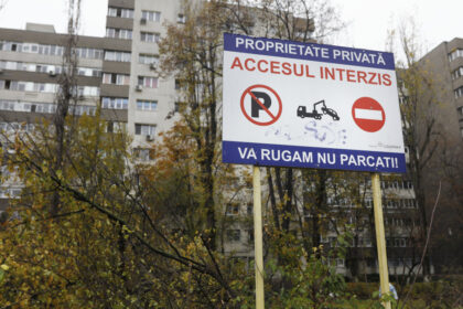 exclusiv buzoianu despre taierile ilegale din parcuri mult timp autoritatile au inchis ochii in fata milionarilor care construiau blocuri 69276efbb89a5