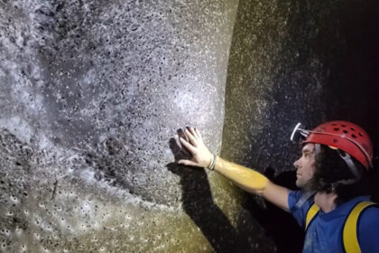 exclusiv ceva extraterestru cea mai mare panza de paianjen din lume descoperita de un cercetator roman in europa cum explica el fenomenul 691451693200d