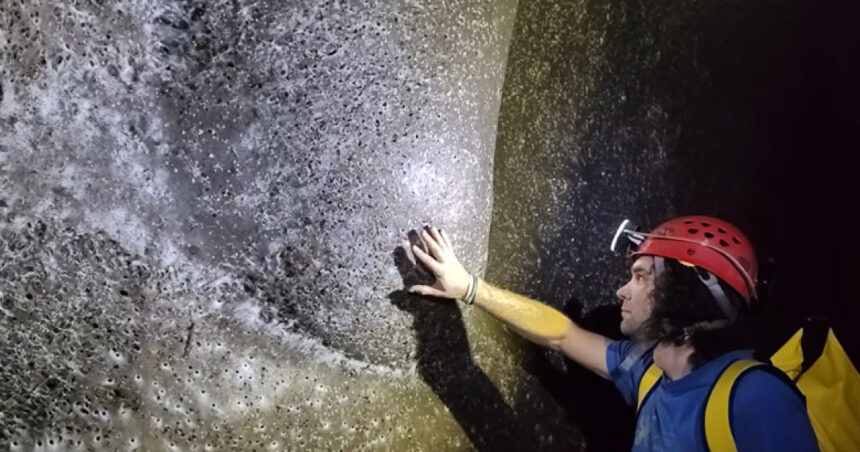 exclusiv ceva extraterestru cea mai mare panza de paianjen din lume descoperita de un cercetator roman in europa cum explica el fenomenul 691451693200d