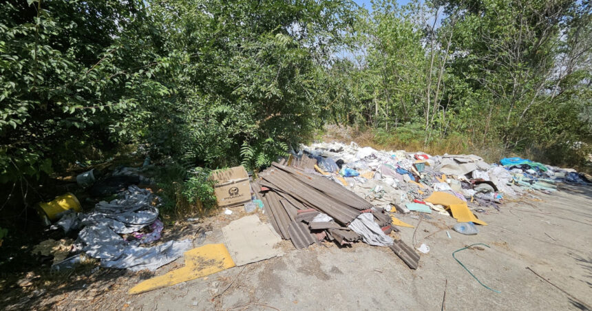 exclusiv ministra mediului avem nevoie de o lege pentru valorificarea deseurilor din constructii in alte state sunt vazute ca resurse 69282345cbbdc