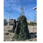 foto au inceput pregatirile pentru targul de craciun din constanta in piata ovidiu se monteaza primii brazi 6916d6787dbf1