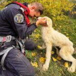 foto video caine salvat de pompierii din tulcea dintr o fantana adanca de 15 metri 6908c2eda8895