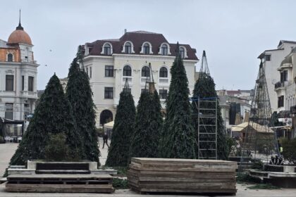 foto video cine organizeaza targul de craciun constanta 2025 in piata ovidiu si poarta 6 pregatirile sunt in toi 6919d16b6bfc5