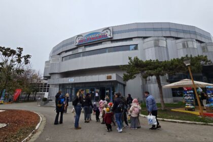 foto video complexul muzeal de stiinte ale naturii constanta a pregatit bucurii pentru copii si adulti de ziua dobrogei spectacole cu delfini activitati educative si recreative ii asteapta pe vizit 6916f2a0a0483