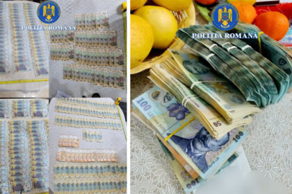 foto video sume de bani colosale si substante interzise gasite de mascati la domiciliile unor importatori de flori din olanda 691731f1058f7