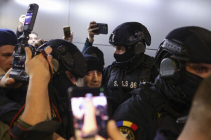 galerie foto primele imagini cu potra adus in catuse in tara busculada pe aeroportul otopeni 691f4a367fa6c