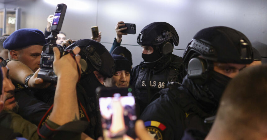 galerie foto primele imagini cu potra adus in catuse in tara busculada pe aeroportul otopeni 691f4a367fa6c