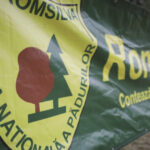 guvernul a aprobat ordonanta de urgenta pentru reorganizarea romsilva care sunt noile masuri ce vor intra in vigoare 691f0e7283be7
