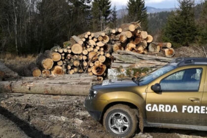 guvernul a aprobat reorganizarea garzii forestiere creste numarul posturilor pentru angajatii din teren 691608b0792d9