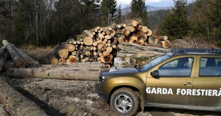 guvernul a aprobat reorganizarea garzii forestiere creste numarul posturilor pentru angajatii din teren 691608b0792d9