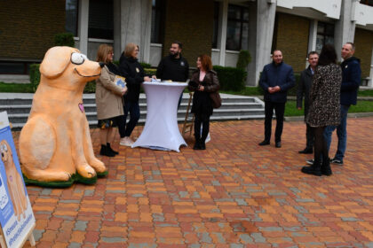 mascota bobita amplasata in centrul pitestiului pentru a i determina pe oameni sa si sterilizeze animalele starneste controverse 691385539694f