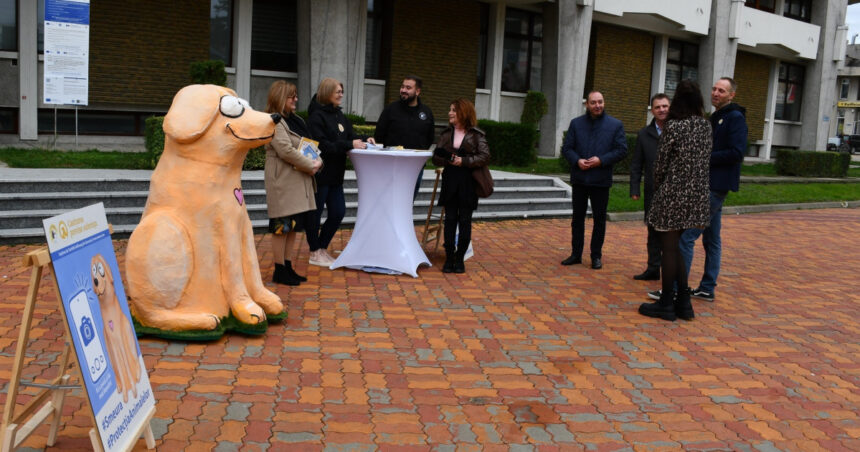 mascota bobita amplasata in centrul pitestiului pentru a i determina pe oameni sa si sterilizeze animalele starneste controverse 691385539694f