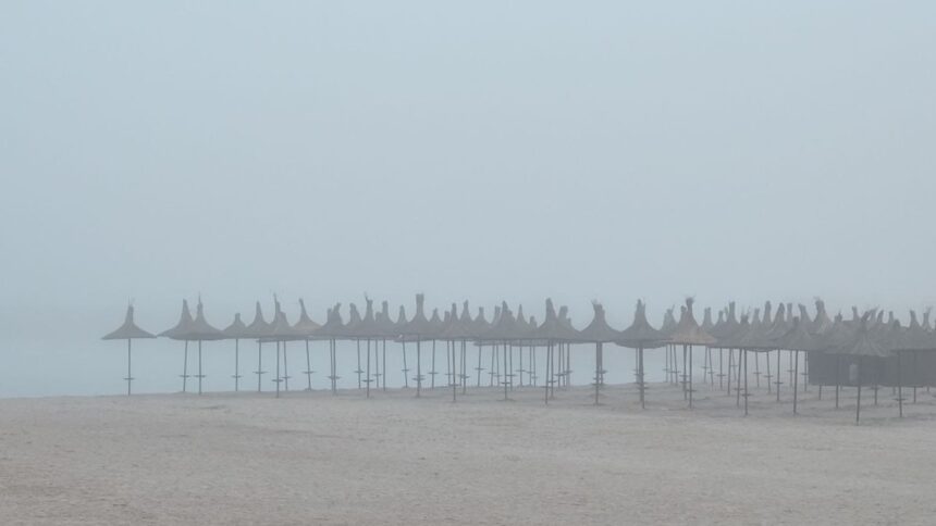 meteo cod galben de ceata in dobrogea vezi pana cand e valabila avertizarea meteo 691820f12286f