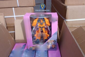 mii de jucarii contrafacute descoperite in portul agigea cine era destinatarul containerului 6908c9ff599f1