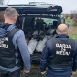 ministra mediului mafia gunoaielor trebuie oprita amenzi uriase si tone de deseuri confiscate in dambovita 690ba361dd9a9