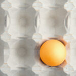 motivul pentru care in unele magazine se gasesc tot mai putine oua fermierii le exporta pentru ca primesc bani mai multi 6915a2e6e73e2