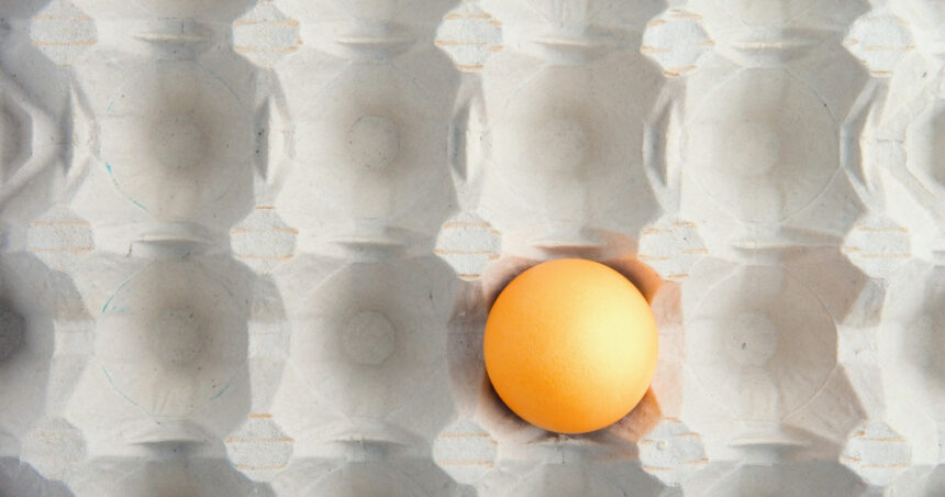 motivul pentru care in unele magazine se gasesc tot mai putine oua fermierii le exporta pentru ca primesc bani mai multi 6915a2e6e73e2