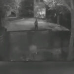 news alert nereguli grave descoperite in dosarul femeii ucise de sot in teleorman procurorul de caz cercetat disciplinar 691adaef1e213