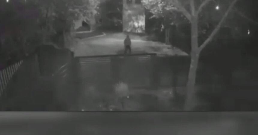 news alert nereguli grave descoperite in dosarul femeii ucise de sot in teleorman procurorul de caz cercetat disciplinar 691adaef1e213