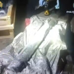 nicusor dan vede o micuta zona in care statul functioneaza dupa ce vamesii au oprit un transport ilegal de arme la albita 692066c99a6c1