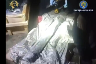 nicusor dan vede o micuta zona in care statul functioneaza dupa ce vamesii au oprit un transport ilegal de arme la albita 692066c99a6c1