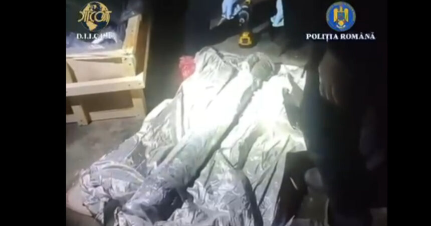 nicusor dan vede o micuta zona in care statul functioneaza dupa ce vamesii au oprit un transport ilegal de arme la albita 692066c99a6c1