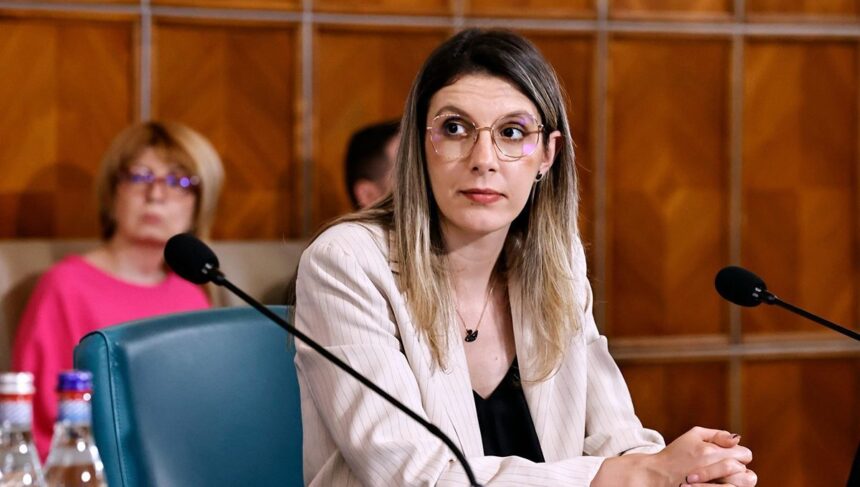 noi precizari despre programul rabla diana buzoianu nu putem garanta o noua editie anul viitor 69275bc31853f