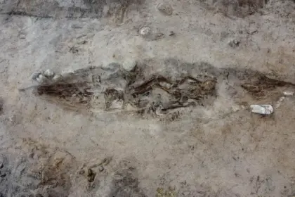 o femeie din epoca vikingilor ingropata alaturi de cainele ei intr un mormant barca 691bd9801d8e5