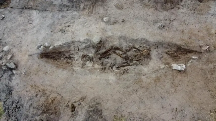 o femeie din epoca vikingilor ingropata alaturi de cainele ei intr un mormant barca 691bd9801d8e5