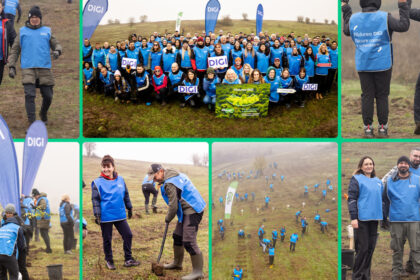 oameniidigi au plantat 5 200 de puieti la cea de a doua editie padurea digi fiecare copac o schimbare 691b2f14ad0ae