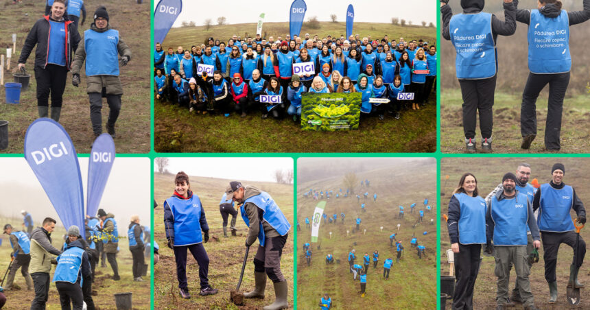 oameniidigi au plantat 5 200 de puieti la cea de a doua editie padurea digi fiecare copac o schimbare 691b2f14ad0ae