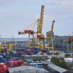 oficial lebada infectata cu virusul gripal h5n1 descoperita in portul constanta ce spun specialistii 69089c45ceb3e