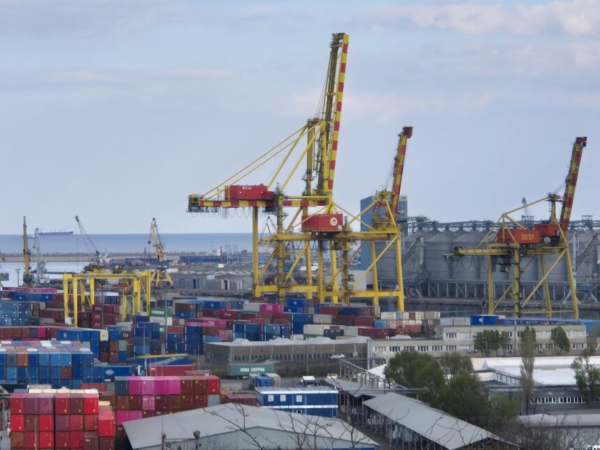 oficial lebada infectata cu virusul gripal h5n1 descoperita in portul constanta ce spun specialistii 69089c45ceb3e