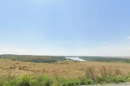 patrimoniul viticom srl din rasova scos la vanzare prin licitatie publica de un executor 691fea5405572