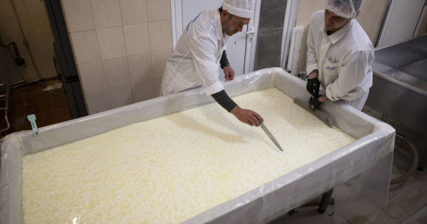 peste 7 300 de persoane private de libertate lucreaza in romania ce conditii trebuie sa indeplineasca detinutii si cum se impart banii 6925be8e5cceb